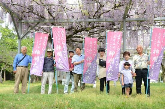 写真：神明神社 藤棚1