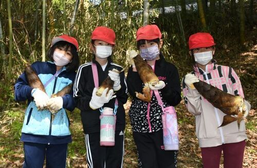 写真：駄知小学校ふるさと教育　タケノコ掘り3