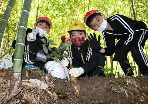 写真：駄知小学校ふるさと教育　タケノコ掘り2