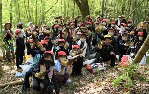 写真：駄知小学校ふるさと教育　タケノコ掘り1