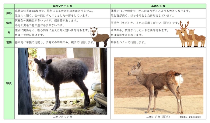 見分け表