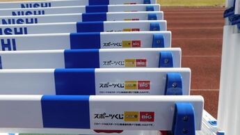 写真：ハードル2