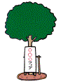 イラスト：広告物の掲出ができない物件の例：街路樹