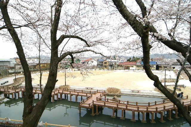 高山公園全景