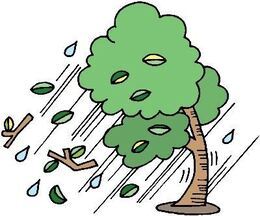 イラスト：木が大雨と強風でしなり、葉や枝が飛ばされている