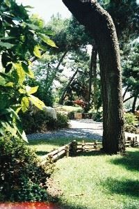写真:日本庭園