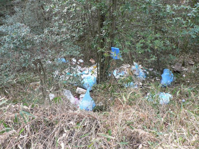 写真：不法投棄されたゴミ