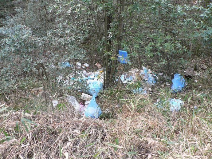 写真：不法投棄されたゴミ