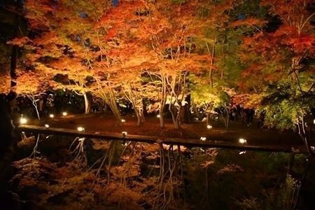 写真：ライトアップされた水辺の紅葉