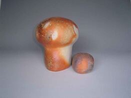 写真：臼井良季氏作品茸胞子