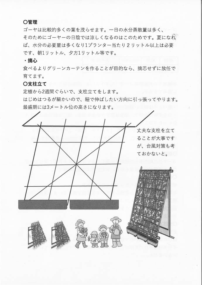 育成方法の2枚目です。