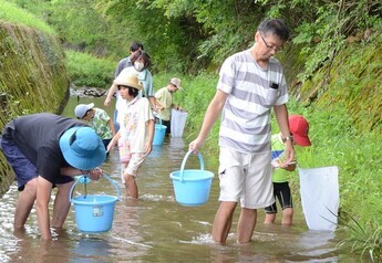 写真：親子生き物観察