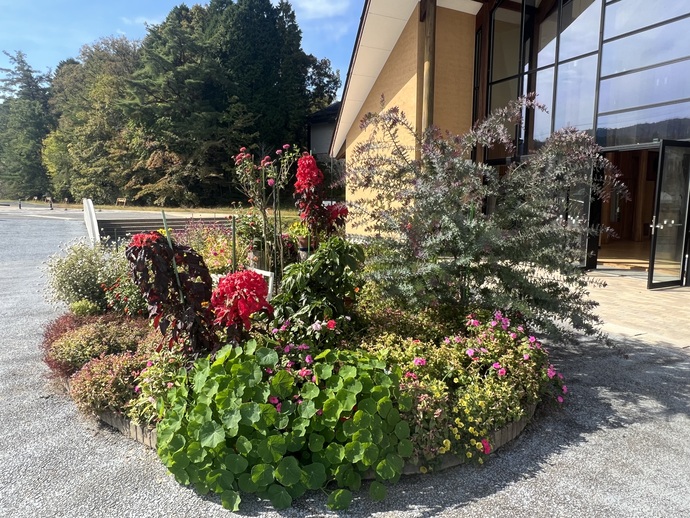 ワーク塔前の花壇の写真