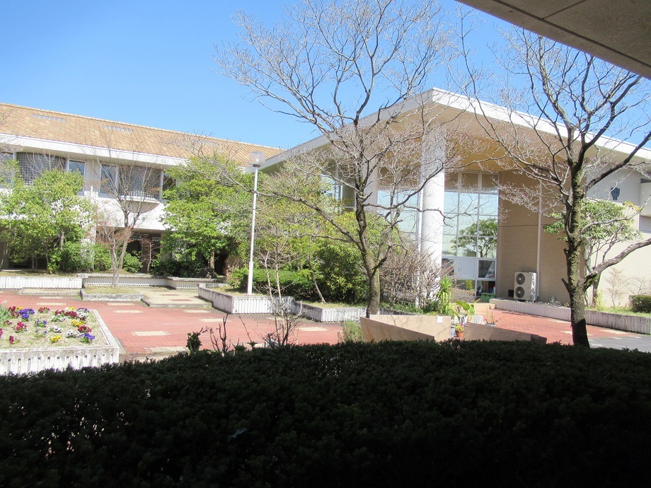 中庭の画像
