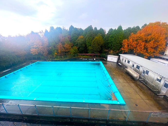 プール画像