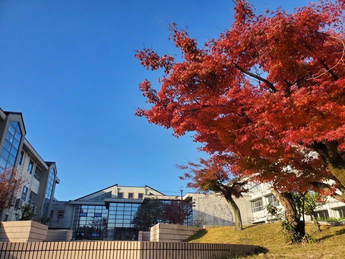 校舎の画像
