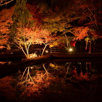 曽木公園もみじライトアップ3