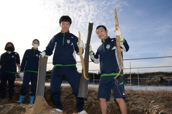 写真：自然薯の収穫