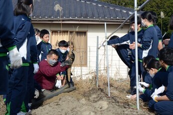 写真：収穫指導