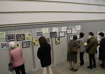 はなの木大学クラブ発表会　作品展示