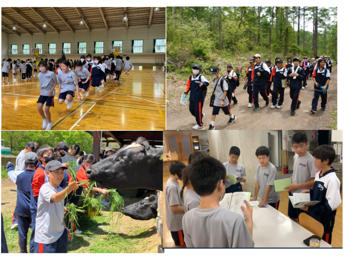 山の体験学習
