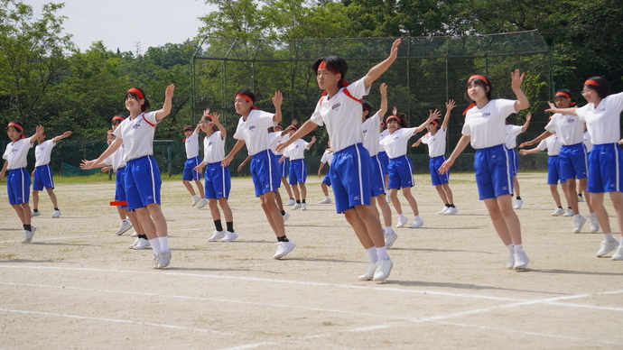 大会7