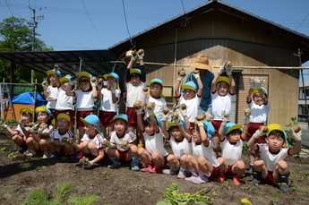 写真：じゃがいも掘り