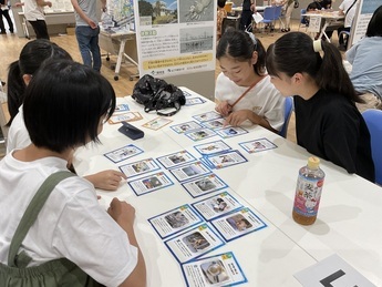 写真：海洋ゴミ　カードゲーム