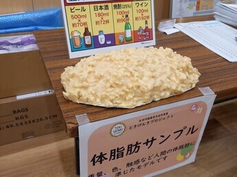 展示（体脂肪サンプル）