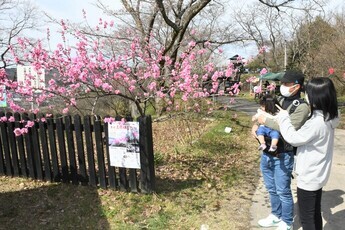 土岐高山城まつり