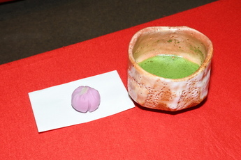 花菖蒲茶会