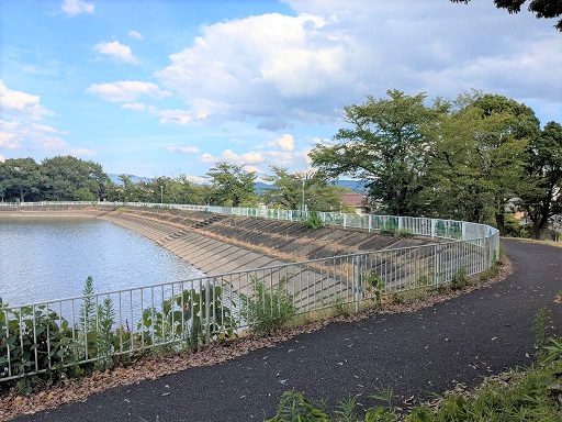 仲森公園池