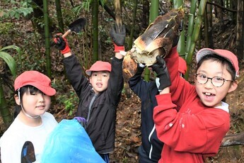 タケノコ掘り体験