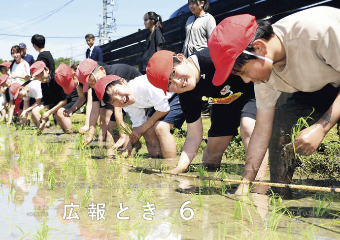 表紙写真 田植え体験