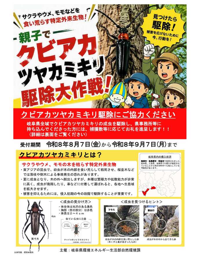 クビアカツヤカミキリチラシ